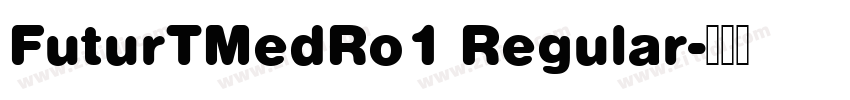 FuturTMedRo1 Regular字体转换 FuturTMedRo1 Regular字体转换